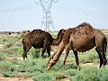 IMG_2420