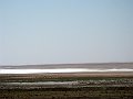 IMG_2428