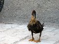 IMG_2457