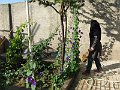 IMG_2462