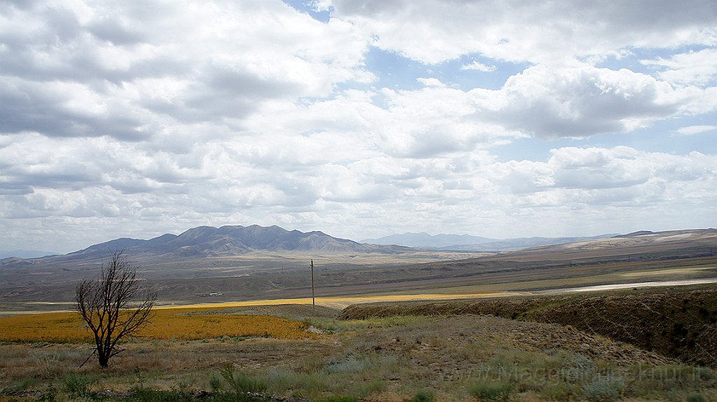 DSC06447.JPG