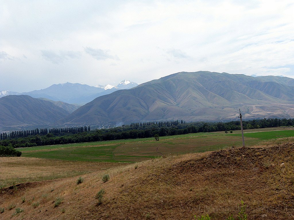 IMG_3052.JPG