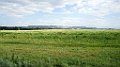 DSC06501