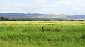 DSC06502