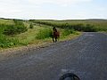 DSC06504