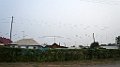 DSC06586