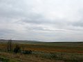 IMG_3022
