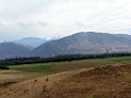 IMG_3052