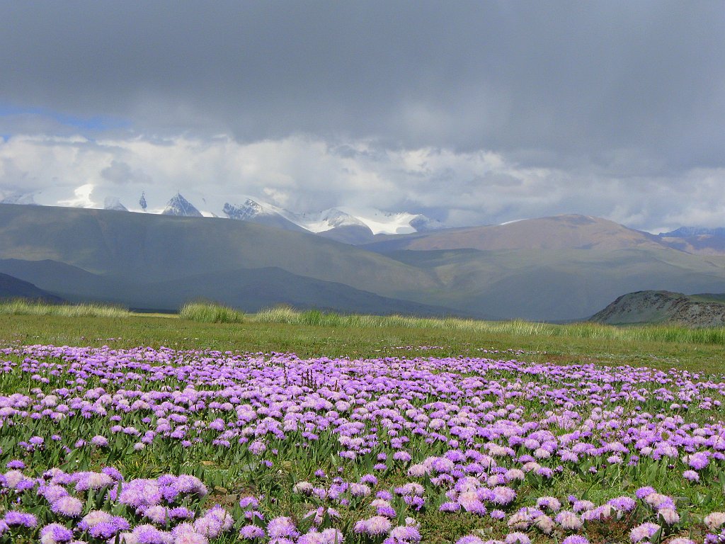 IMG_3082.JPG - Panorama.