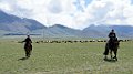 DSC06840