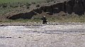 DSC07172