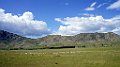 DSC07290