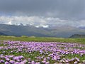 IMG_3082