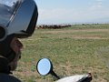 IMG_3119