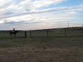 IMG_3147
