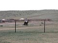 IMG_3148