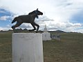 IMG_3173