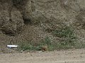 IMG_3223