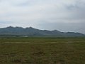 IMG_3231