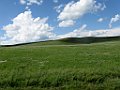 IMG_3287
