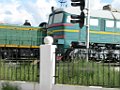 IMG_3295
