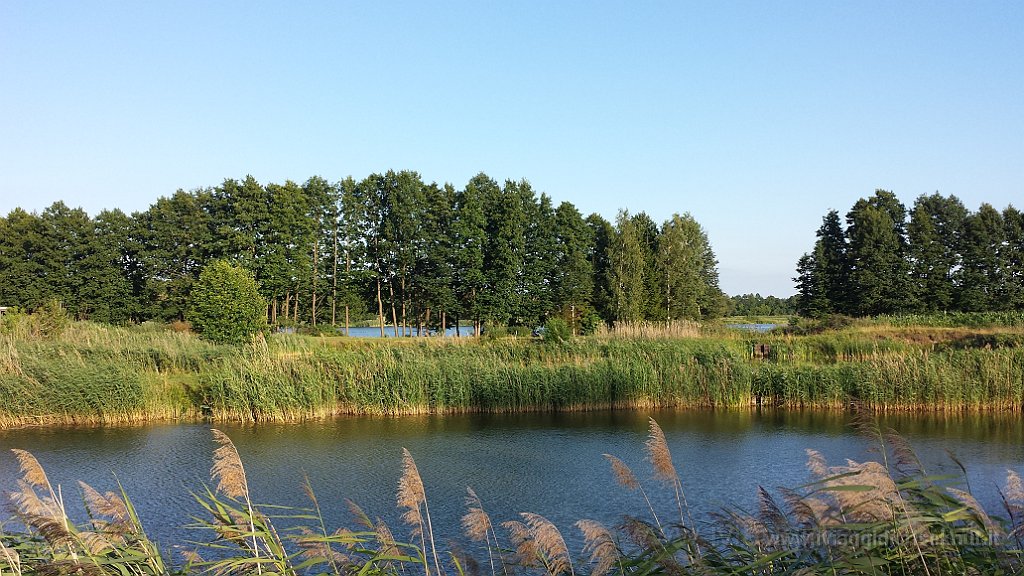 20150721_184844.jpg - Barszcze: laghetto vicino al motel. 