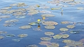 20150721_185345