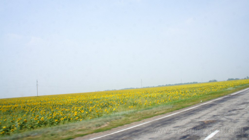 DSC06613.JPG