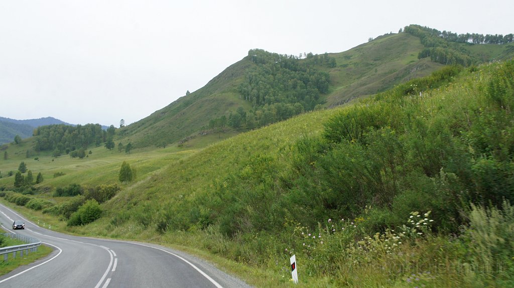 DSC06658-001.JPG