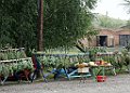 DSC06629