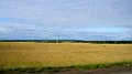 DSC07337