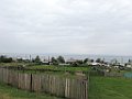 IMG_3342