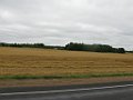 IMG_3368