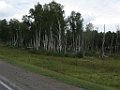 IMG_3381