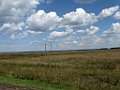 IMG_3395