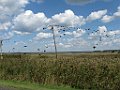 IMG_3396