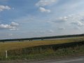 IMG_3405