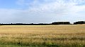 IMG_3406