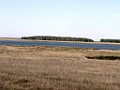 IMG_3408