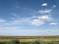 IMG_3429