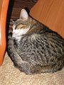 IMG_3472