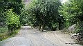 DSC05252