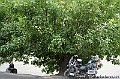 DSC05295
