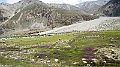 DSC05450