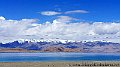 DSC06005