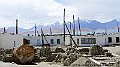 DSC06023