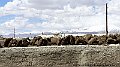 DSC06026