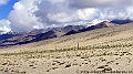 DSC06058