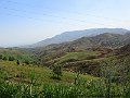 IMG_2764