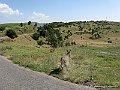 IMG_2769